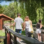 Bois 5 Domaine Les Epinettes