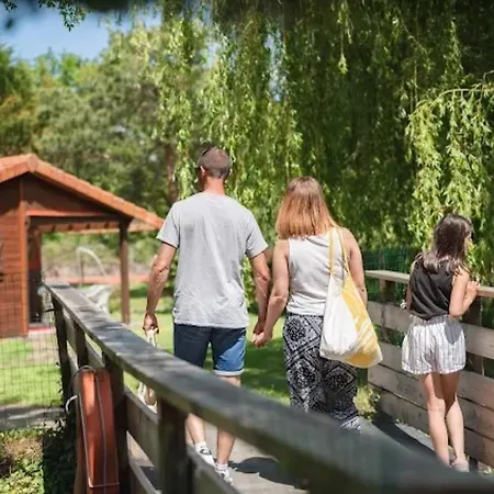 Bois 5 Domaine Les Epinettes