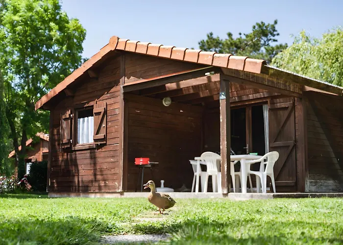 Bois 5 Domaine Les Epinettes Camping Saint-Gervais (Vendee)