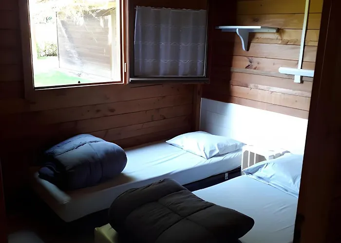 Bois 5 Domaine Les Epinettes Camping