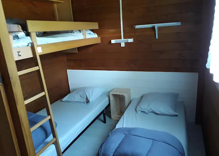 Bois 5 Domaine Les Epinettes Camping Saint-Gervais (Vendee)