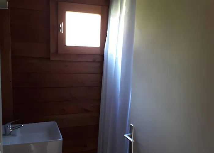 Bois 5 Domaine Les Epinettes * Saint-Gervais (Vendee)