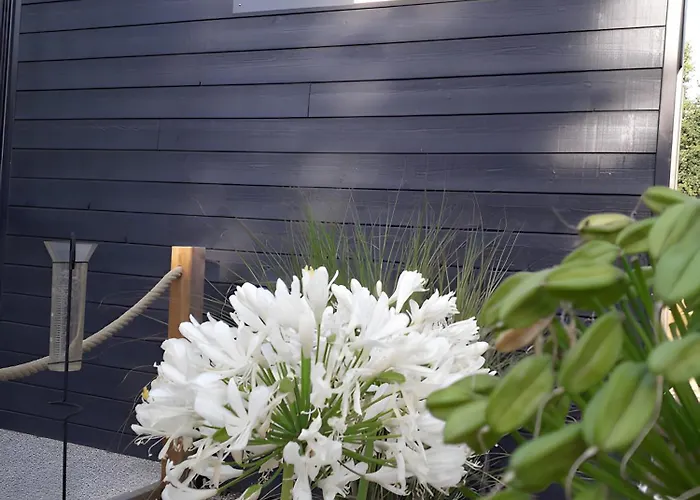 Bois 5 Domaine Les Epinettes *