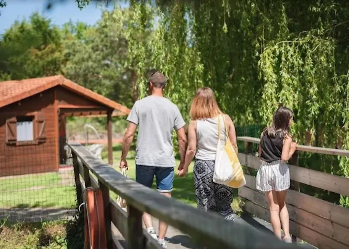 Bois 5 Domaine Les Epinettes